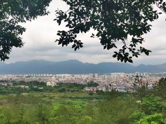 -冠豸山景区