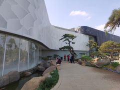 -罗红摄影艺术馆