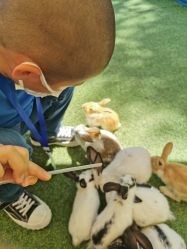 -萌宠亲子动物乐园(槐房万达店)