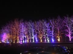 -枫花园汽车电影院(朝阳公园店)