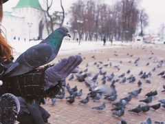 -谢尔盖圣三一大修道院