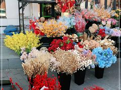 -宝鸡东道花鸟鱼虫市场(吉利花园商场店)