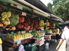 -南沙十九涌渔人码头-南门