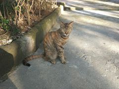 -浙江万里学院(钱湖校区)