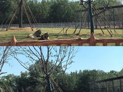 -宿豫区运河湾森林动物园