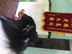 甄爱宠物诊所-甄爱宠物医院(疏影路店)