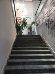 -重道造型