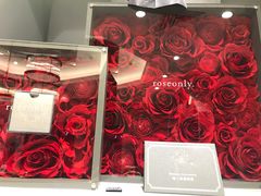 -ROSEONLY诺誓(磐基中心店)