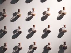 -张一元茶庄(望京店)