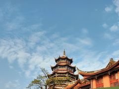 -铁山坪森林公园