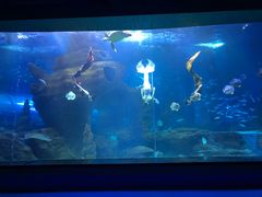 -多彩贵州城极地海洋世界