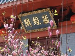 -飞霞风景名胜区