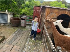 -宁波九龙湖开元度假村