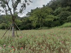 -南北湖风景区