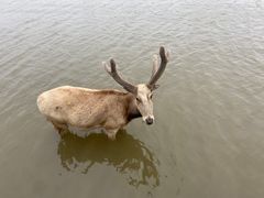 -宁波杭州湾国家湿地公园