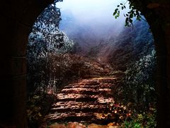 -中国茶叶博物馆(双峰馆区)