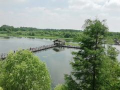 -溱湖国家湿地公园