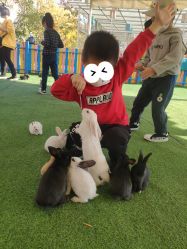 -萌宠亲子动物乐园(槐房万达店)