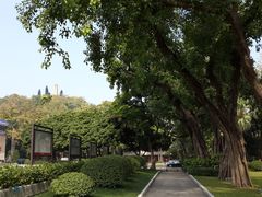 -广州中山纪念堂