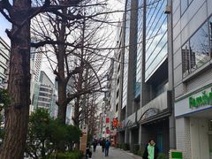-秋叶原电器街