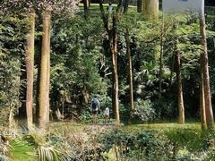 -火炉山森林公园