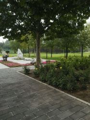 -大望京儿童游乐场