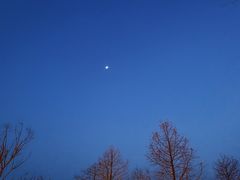 -东台西溪天仙缘景区