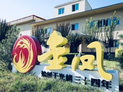 -金凤扒鸡(红旗直营店)