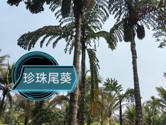-中国科学院西双版纳热带植物园