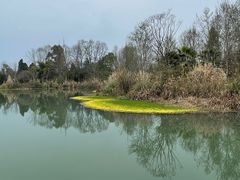 -桤木河湿地公园