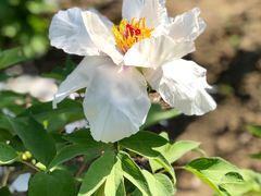 -江南大学-第一食堂(江南苑)