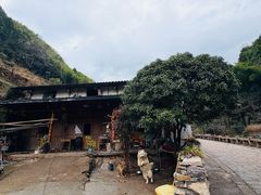 -林坑古村落