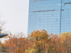 -澜亭中餐厅·一线江景·尊蓝豪华精选