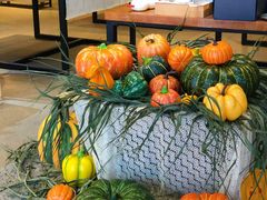 -观澜湖手艺工场·陶艺·吹玻璃·拼豆