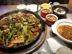 -老板恋上鱼(恒隆广场店)