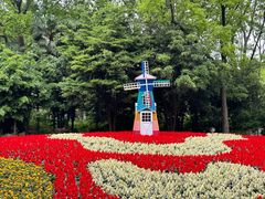 -上海共青森林公园