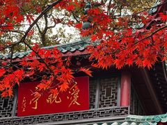 -岳麓山风景名胜区