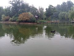 android_upload_pic-扬州古运河