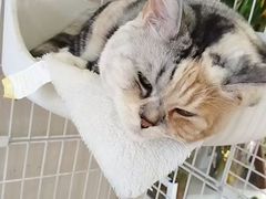 -北京城乡世纪广场-莫尔空间