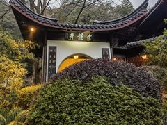 -十八棵（老龙井）御茶园(老龙井店)