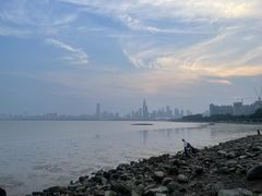 -深圳湾公园(南山区)