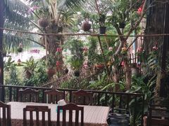 -Paak Dang Riverside 红嘴河畔餐厅