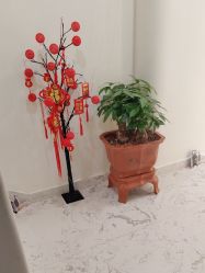 -海涛医疗美容·面部抗衰·注射美鼻