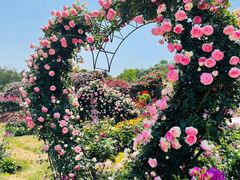 -白沙门生态公园