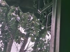 -广富林宰相府酒店·水云间