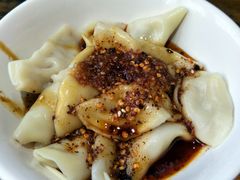 红油钟水饺-龙抄手(文殊坊店)