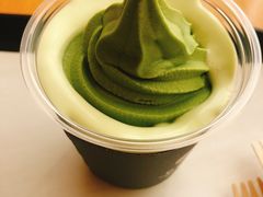-雪绿茶博物馆