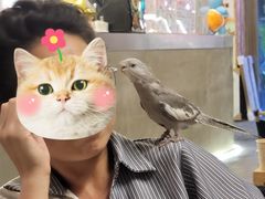 -吾叁·吉趣鸟咖(万科店)