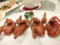 润烧盐香乳鸽-利苑酒家(宜安广场店)