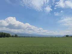 -新疆那拉提国家旅游度假区